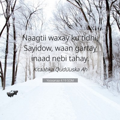 Picture 07 - Yooxanaa 4:19 SOM - Naagtii waxay ku tidhi, Sayidow, waan gartay - Bible Verse Picture