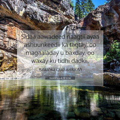 Picture 07 - Yooxanaa 4:28 SOM - Sidaa aawadeed naagtii ayaa ashuunkeedii ka - Bible Verse Picture