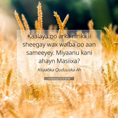 Picture 07 - Yooxanaa 4:29 SOM - Kaalaya oo arka ninkii ii sheegay wax walba oo - Bible Verse Picture