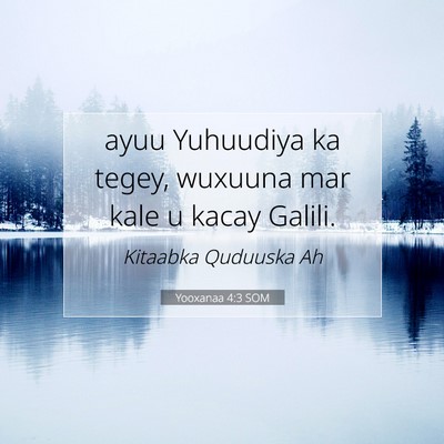 Picture 07 - Yooxanaa 4:3 SOM - ayuu Yuhuudiya ka tegey, wuxuuna mar kale u kacay - Bible Verse Picture