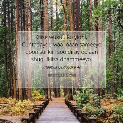 Picture 07 - Yooxanaa 4:34 SOM - Ciise wuxuu ku yidhi, Cuntadaydu waa inaan - Bible Verse Picture