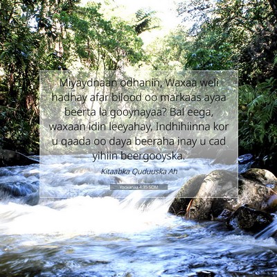 Picture 07 - Yooxanaa 4:35 SOM - Miyaydnaan odhanin, Waxaa weli hadhay afar bilood - Bible Verse Picture
