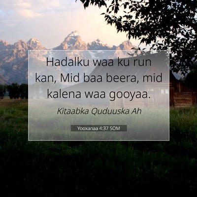 Picture 07 - Yooxanaa 4:37 SOM - Hadalku waa ku run kan, Mid baa beera, mid kalena - Bible Verse Picture