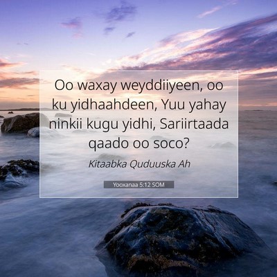 Picture 07 - Yooxanaa 5:12 SOM - Oo waxay weyddiiyeen, oo ku yidhaahdeen, Yuu - Bible Verse Picture