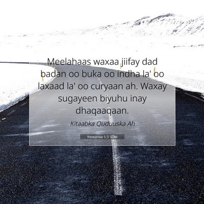 Picture 07 - Yooxanaa 5:3 SOM - Meelahaas waxaa jiifay dad badan oo buka oo indha - Bible Verse Picture