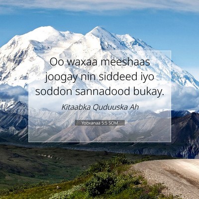 Picture 07 - Yooxanaa 5:5 SOM - Oo waxaa meeshaas joogay nin siddeed iyo soddon - Bible Verse Picture