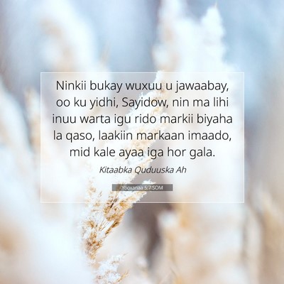 Picture 07 - Yooxanaa 5:7 SOM - Ninkii bukay wuxuu u jawaabay, oo ku yidhi, - Bible Verse Picture