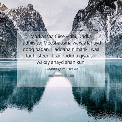 Picture 07 - Yooxanaa 6:10 SOM - Markaasaa Ciise yidhi, Dadka fadhiisiya. - Bible Verse Picture