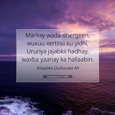 Picture 07 - Yooxanaa 6:12 SOM - Markay wada dhergeen, wuxuu xertiisii ku yidhi, - Bible Verse Picture