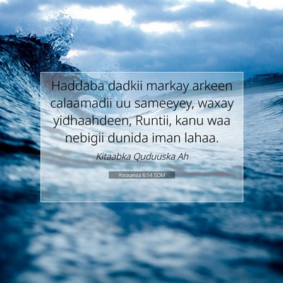 Picture 07 - Yooxanaa 6:14 SOM - Haddaba dadkii markay arkeen calaamadii uu - Bible Verse Picture