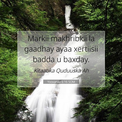Picture 07 - Yooxanaa 6:16 SOM - Markii makhribkii la gaadhay ayaa xertiisii badda - Bible Verse Picture