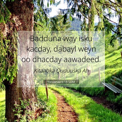 Picture 07 - Yooxanaa 6:18 SOM - Badduna way isku kacday, dabayl weyn oo dhacday - Bible Verse Picture