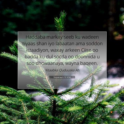 Picture 07 - Yooxanaa 6:19 SOM - Haddaba markay seeb ku wadeen qiyaas shan iyo - Bible Verse Picture