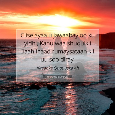 Picture 07 - Yooxanaa 6:29 SOM - Ciise ayaa u jawaabay oo ku yidhi, Kanu waa - Bible Verse Picture