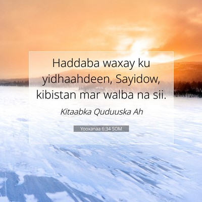 Picture 07 - Yooxanaa 6:34 SOM - Haddaba waxay ku yidhaahdeen, Sayidow, kibistan - Bible Verse Picture