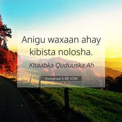 Picture 07 - Yooxanaa 6:48 SOM - Anigu waxaan ahay kibista - Bible Verse Picture