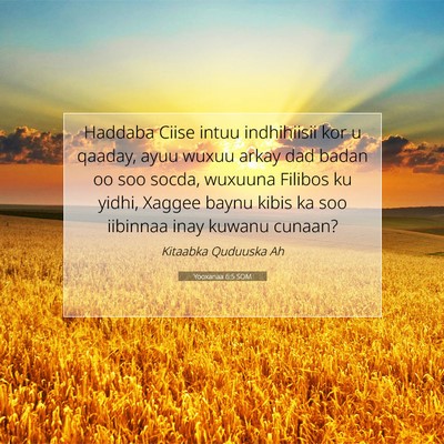 Picture 07 - Yooxanaa 6:5 SOM - Haddaba Ciise intuu indhihiisii kor u qaaday, - Bible Verse Picture
