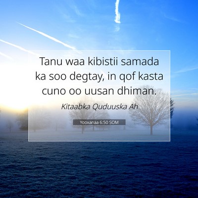 Picture 07 - Yooxanaa 6:50 SOM - Tanu waa kibistii samada ka soo degtay, in qof - Bible Verse Picture