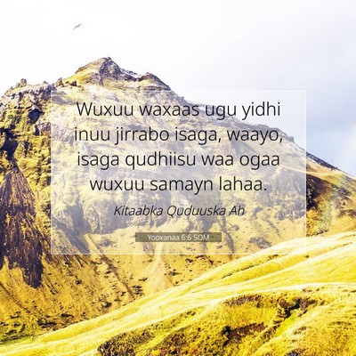 Picture 07 - Yooxanaa 6:6 SOM - Wuxuu waxaas ugu yidhi inuu jirrabo isaga, waayo, - Bible Verse Picture