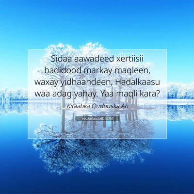 Picture 07 - Yooxanaa 6:60 SOM - Sidaa aawadeed xertiisii badidood markay maqleen, - Bible Verse Picture
