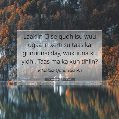 Picture 07 - Yooxanaa 6:61 SOM - Laakiin Ciise qudhiisu wuu ogaa in xertiisu taas - Bible Verse Picture