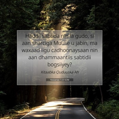 Picture 07 - Yooxanaa 7:23 SOM - Haddii sabtida nin la gudo, si aan sharciga Muuse - Bible Verse Picture
