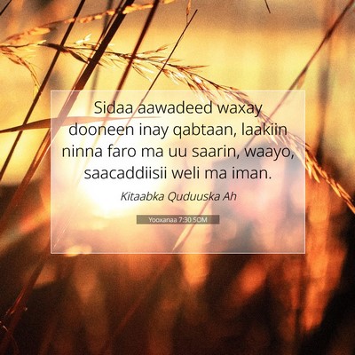 Picture 07 - Yooxanaa 7:30 SOM - Sidaa aawadeed waxay dooneen inay qabtaan, - Bible Verse Picture