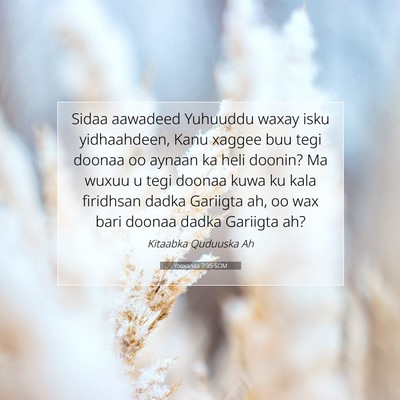 Picture 07 - Yooxanaa 7:35 SOM - Sidaa aawadeed Yuhuuddu waxay isku yidhaahdeen, - Bible Verse Picture