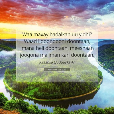 Picture 07 - Yooxanaa 7:36 SOM - Waa maxay hadalkan uu yidhi? Waad i doondooni - Bible Verse Picture