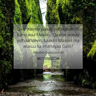 Picture 07 - Yooxanaa 7:41 SOM - Qaar kalena waxay yidhaahdeen, Kanu waa Masiixii. - Bible Verse Picture