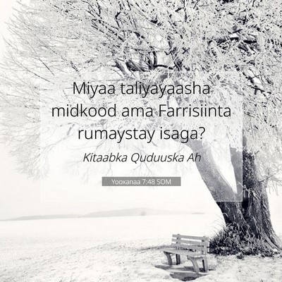 Picture 07 - Yooxanaa 7:48 SOM - Miyaa taliyayaasha midkood ama Farrisiinta - Bible Verse Picture