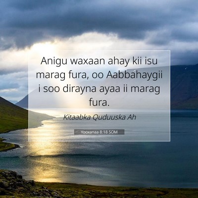 Picture 07 - Yooxanaa 8:18 SOM - Anigu waxaan ahay kii isu marag fura, oo - Bible Verse Picture