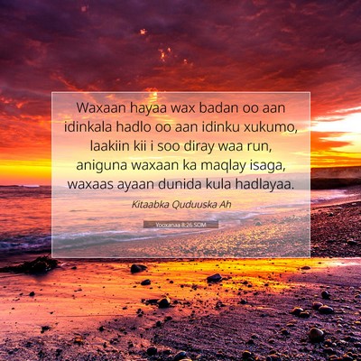 Picture 07 - Yooxanaa 8:26 SOM - Waxaan hayaa wax badan oo aan idinkala hadlo oo - Bible Verse Picture