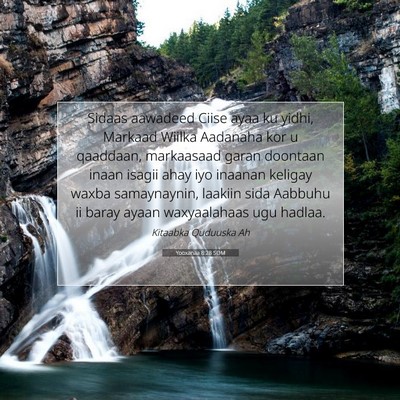 Picture 07 - Yooxanaa 8:28 SOM - Sidaas aawadeed Ciise ayaa ku yidhi, Markaad - Bible Verse Picture