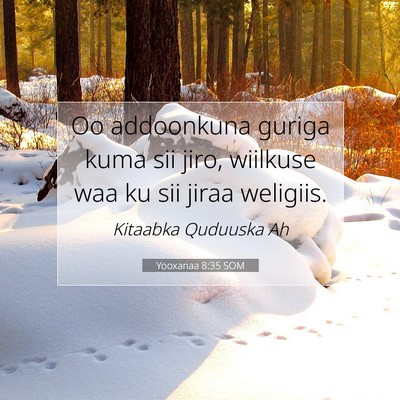 Picture 07 - Yooxanaa 8:35 SOM - Oo addoonkuna guriga kuma sii jiro, wiilkuse waa - Bible Verse Picture