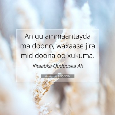 Picture 07 - Yooxanaa 8:50 SOM - Anigu ammaantayda ma doono, waxaase jira mid - Bible Verse Picture