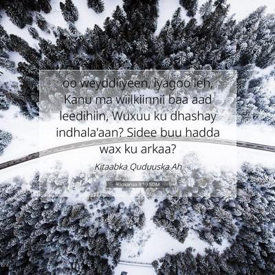 Picture 07 - Yooxanaa 9:19 SOM - oo weyddiiyeen, iyagoo leh, Kanu ma wiilkiinnii - Bible Verse Picture
