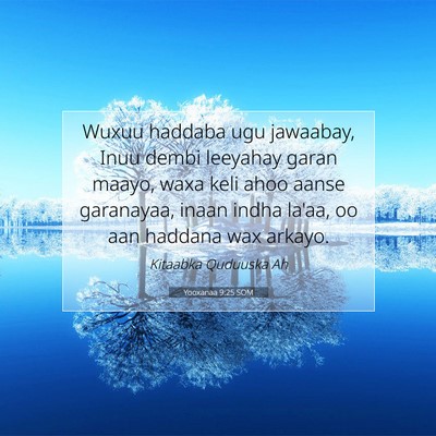 Picture 07 - Yooxanaa 9:25 SOM - Wuxuu haddaba ugu jawaabay, Inuu dembi leeyahay - Bible Verse Picture