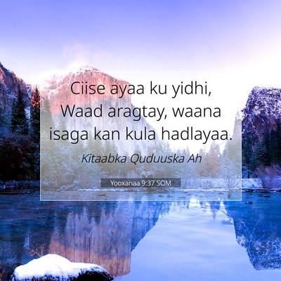 Picture 07 - Yooxanaa 9:37 SOM - Ciise ayaa ku yidhi, Waad aragtay, waana isaga - Bible Verse Picture
