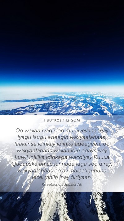 1 Butros 1:12 SOM Mobile Phone Wallpaper - Oo waxaa iyagii loo muujiyey inaanay iyagu isugu - Mobile Bible Verse Wallpaper