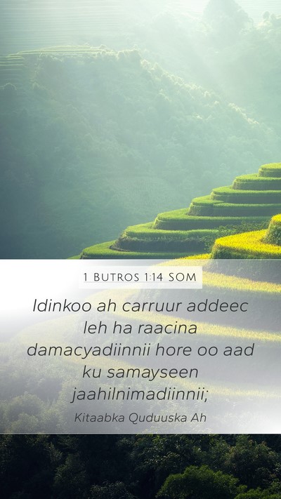 1 Butros 1:14 SOM Bible Verse Image