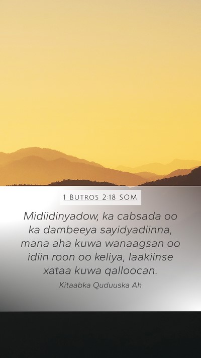 1 Butros 2:18 SOM Mobile Phone Wallpaper - Midiidinyadow, ka cabsada oo ka dambeeya - Mobile Bible Verse Wallpaper