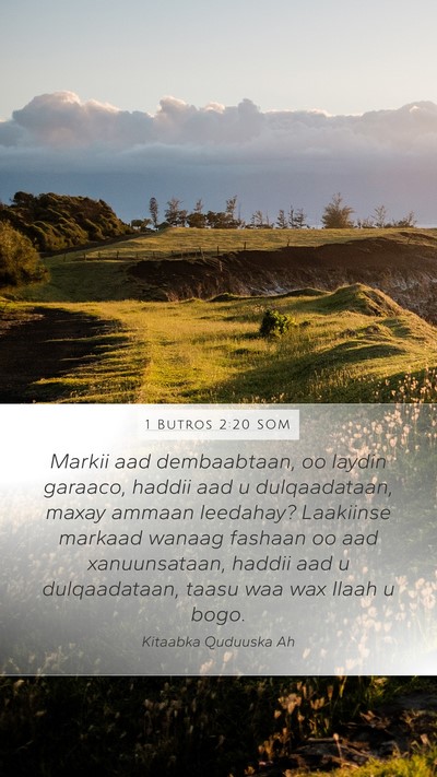 1 Butros 2:20 SOM Bible Verse Image
