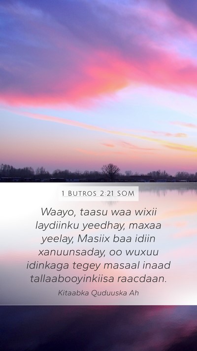 1 Butros 2:21 SOM Bible Verse Image