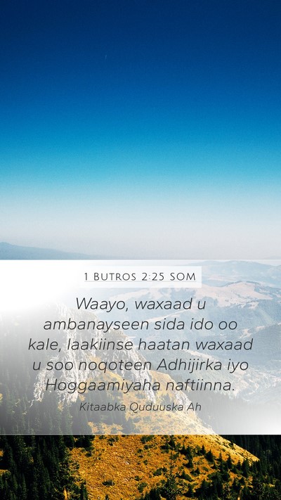 1 Butros 2:25 SOM Bible Verse Image