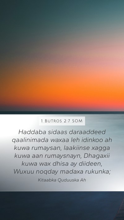 1 Butros 2:7 SOM Bible Verse Image