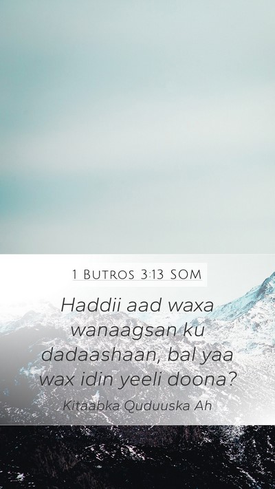 1 Butros 3:13 SOM Bible Verse Image