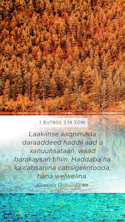 1 Butros 3:14 SOM Bible Verse Image