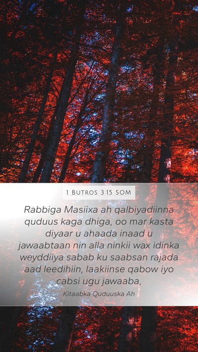 1 Butros 3:15 SOM Bible Verse Image