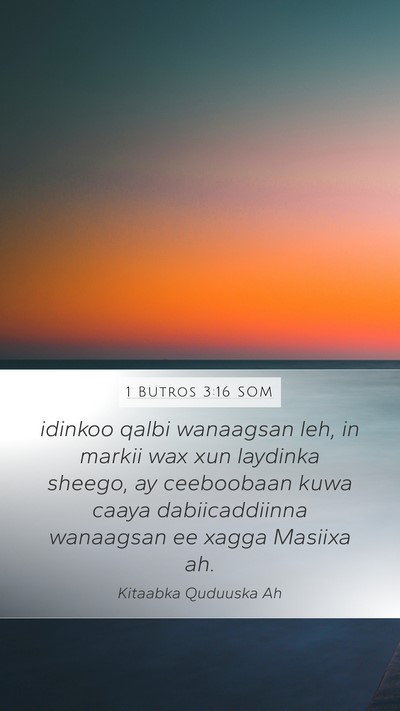 1 Butros 3:16 SOM Bible Verse Image